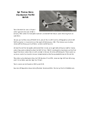 A preview of a PDF biography for Chamberlain, Thomas Henry